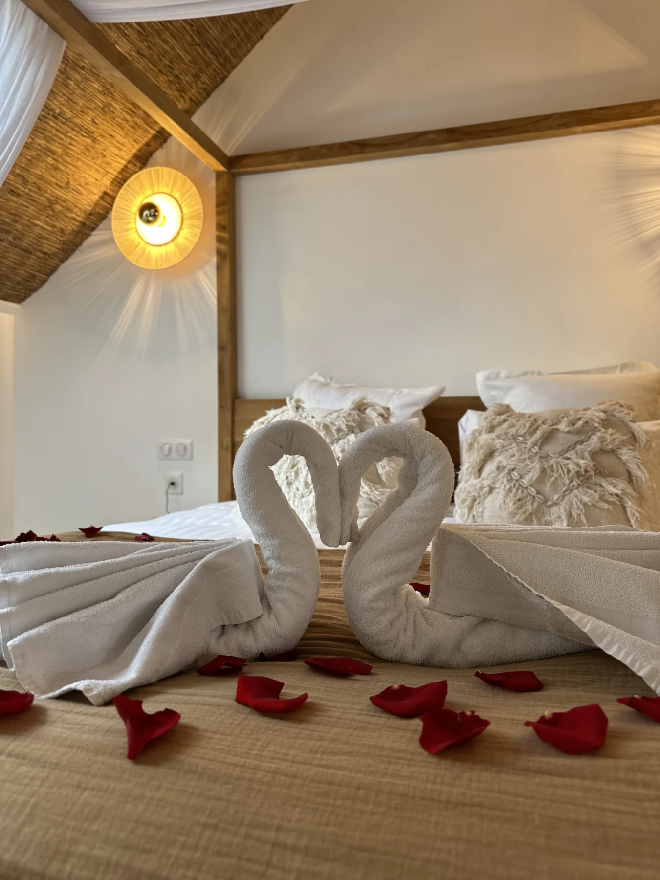 L’Anniversaire de rêve à la Maison Balinaise